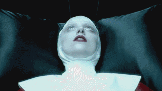 giphy.gif