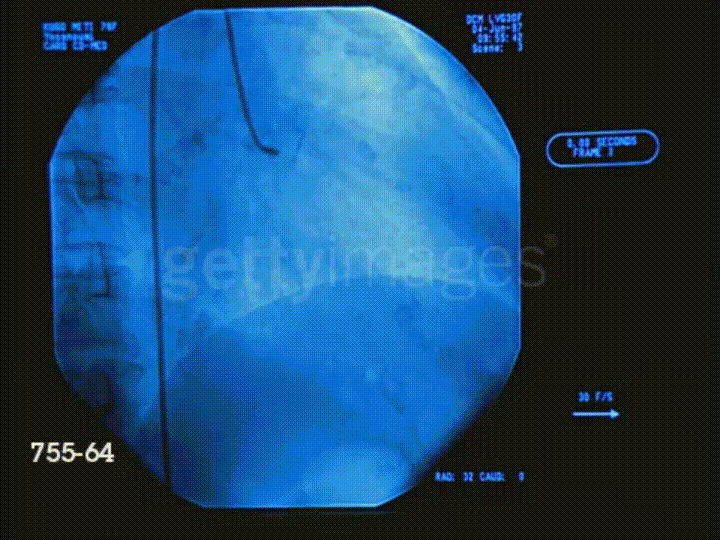 Heart GIFs Find & Share on GIPHY