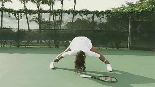 Tennis Player S Find And Share On Giphy