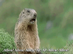 allen