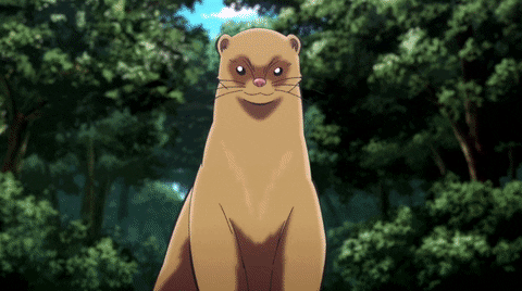 Funimation attack otter furious