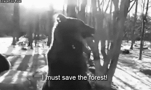 Forest GIF by Cheezburger