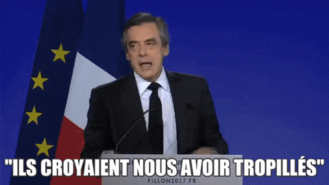https://media.giphy.com/media/zfXbApwDKM480/giphy.gif
