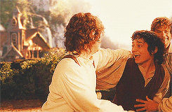 lord of the rings the lord of the rings hug frodo hugging