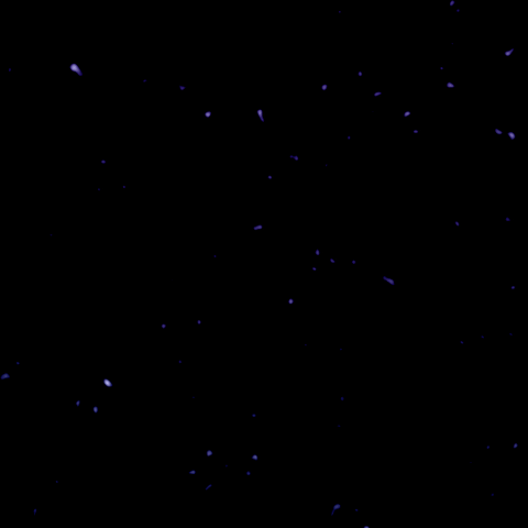 Night Sky Art GIF by Dot Com
