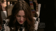 leighton meester theme co