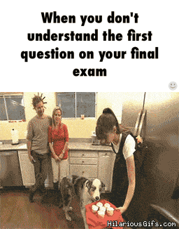 Exam GIF - Find & Share on GIPHY