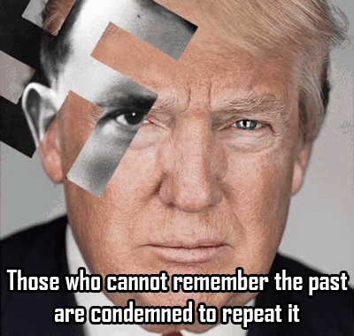 Presidential Election GIF