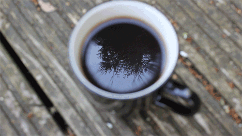 Good Vibes Coffee GIF - Find & Share on GIPHY