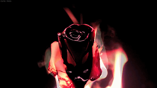 Image result for gif fire rose