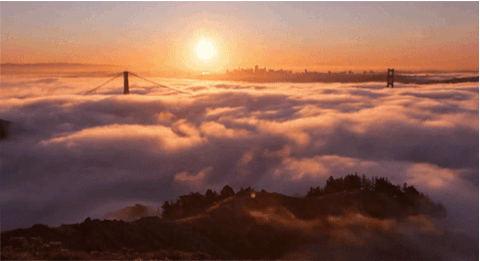perfect gif looper perfect gif looper