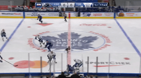 Toronto Maple Leafs Wayne Simmonds GIF - Toronto Maple Leafs Wayne Simmonds  Leafs - Discover & Share GIFs