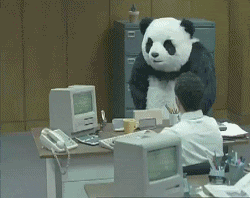 A funny GIF of a Panda getting frustrated with a computer in an office environment.