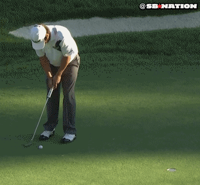 Pga Championship Tiger GIF - Find & Share on GIPHY