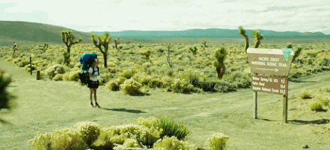 Wild Movie GIF - Find & Share on GIPHY