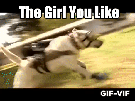 The Girl You Like And You in funny gifs