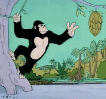 Image result for ape eating banana gifs
