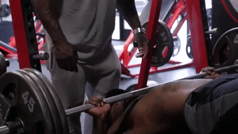 Mike Rashid Decline Bench Press