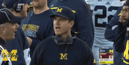 Jim Harbaugh GIF - Find & Share on GIPHY